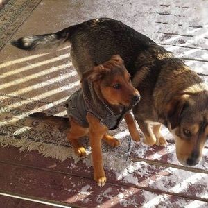 Meet your Posher, Carrie